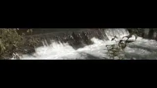 CANON EOS 60 Magic lantern RAW movie RAWanizer dcraw