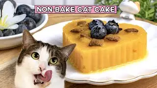 How to Make an Easy Non Bake Cat Cake