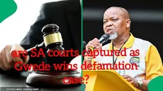 Gwede Mantashe wins defamation case as court finds theft claim false