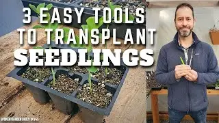 🌱 Seedling Transplanting Tools #shorts | Seedling Care - SGD 345 🌱