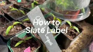 How to make slate plant labels for free!