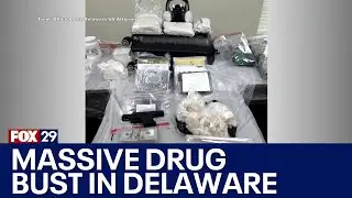 Feds bust large scale-drug rings in Delaware