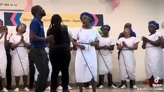 Sikwenza mkhulu