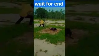 #shots for wwe Indian reasling for funny# moments #shots YouTube videos shots 😂😂  viral videos