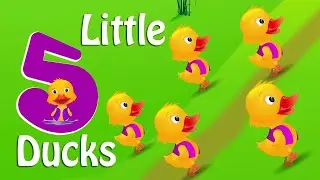 Five Little Ducks | kids songs | children Rhyme|@mks duniya