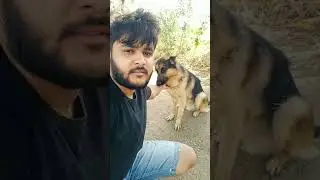 my pet German Shepherd name is bruno