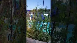 Eid ul Fitr Moon on the third day #amazing #trending #beautiful #asmr #saudiarabia #madina