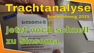 Trachtanalyse jetzt aber schnell | Sinsoma | was steckt im Honig - Sommerernte 2025