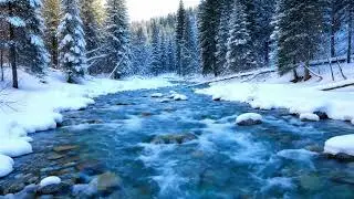 Peaceful River Flow in a Snowy Forest | Relaxing Nature Sounds for Sleep & Meditation