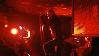 PIG - Toronto 2019 - Arbor Vitate