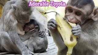 Attractive Action..!! Adorable Toyota exhausted | Best mom Tiana is breastfeeding her baby very well