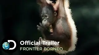Official Trailer | Frontier Borneo