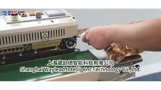 WZ220 Automatic Food Pillow Packing Machine Packing Film type PP PVC PS EVA etc