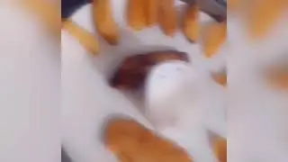 Fry Fish Fillet In batter