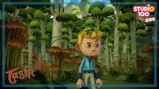 SOUNDS SERIOUS - TASHI - Studio100 KIDS - KIDS cartoons☺️😁