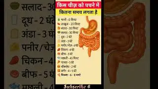 कौन-सा खाना कितनी देर में पचता है? | Food Digestion Time Hindi