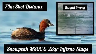 Little Grebe Pest Control #1 - With Snowpeak M30C & Inferno Slugs