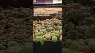 Woolworths food pavellion Sydney Easter Show #easter #viral #shorts  #sydney