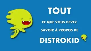 D&eacute;couverte Distrokid - Mon Spotify Bilan DJ TSELI Statistiques ann&eacute;e 2021