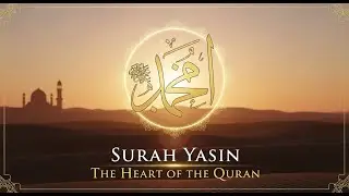 Surah Yasin Full Quran Recitation | Powerful Murottal for Healing and Blessings