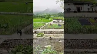 'A tranquil countryside scene with lush green fields farmers at work and a peaceful stream flowing #