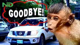 Goodbye Lori & Amari, Pray for poor Amari & her sick baby a better life at new place