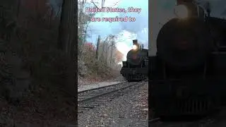 Почему поезда так громко сигналят?