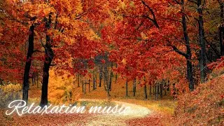 Relaxing Music with autum scene || Meditation Music for StressRelief | Healing Music | Spa Music 🍂