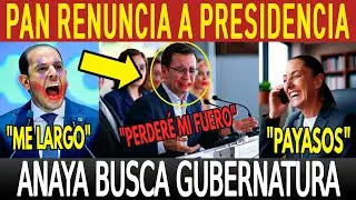 PAN QUEMA BARCOS! ANAYA REUNCIA A ASPIRACION PRESIDENCIAL. PERDER&Aacute; FUERO. QUIEREN MANTENER QUERETARO