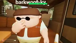 The RVideo