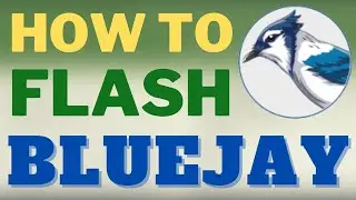 How to flash Bluejay to BLheli_S ESCs [in 30s]