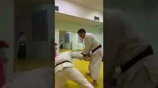 Бросок в АйкиБудоМикс #айкидо #aikido #budo #боевыеискусства #martialarts