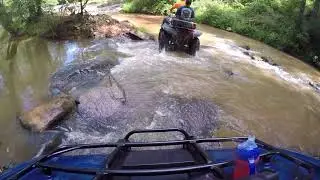 Jax in the creek