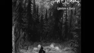 Baptism : When the Night is Immortal