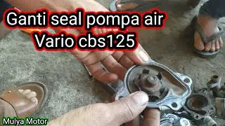 How to replace the water pump seal on a Vario CBS125