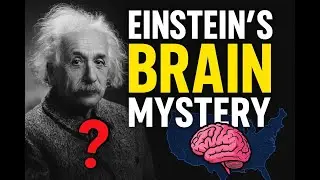 A doctor stole Einstein&rsquo;s brain... and hid it for 40 years. WHY? The truth will shock you!🧠