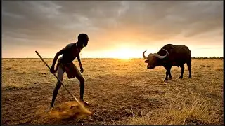 Don't Believe These Myths About Life Million of Years Ago| Giant Buffalo