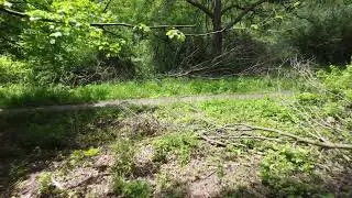 A Walk on the North Loop