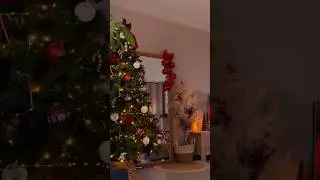 Le salon fait peau neuve avec un peu de magie de No&euml;l.  #home #sapin #deco #noel