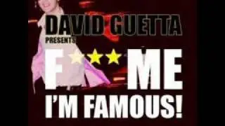 David Guetta Style - Berny DeeJay 2010