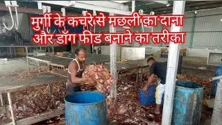Chicken waste Rendering Plant. #chicken #waste #management #organic call for order @+919997630369