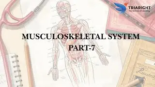 Musculoskeletal System  PART-7-MEDICAL CODING