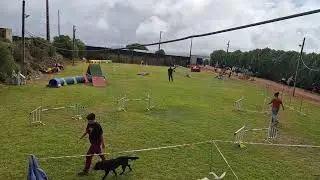 7 de Setembro 2025 - Agility - Grau 2 - AG