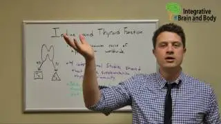 How Important is Iodine to Your Thyroid Gland?
