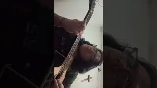 Metallica - Master Of Puppets 1st Solo Fingerstyle Acoustic Bass One Take Performance