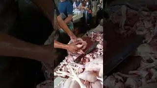 Chicken fillet || chicken cutting skills #amazing #food #meat #satisfying #chicken #shorts #usa