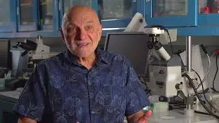 PLINAZOLIN Technology Cockroach Trial with Dr. Coby Schal