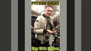 Python Snake at metro train | Russia