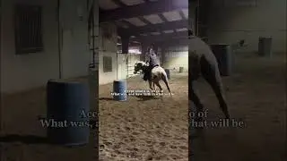Real stuff #horse #equestrian