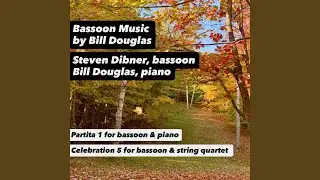 Celebration V for Bassoon and String Quartet: 3. Virya